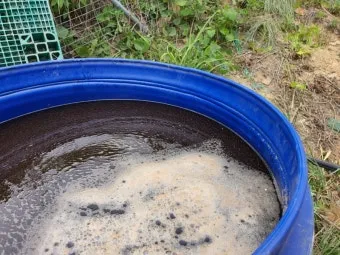 액비 희석비율 주기맞추기 잎색개선 안전한 급수 방법_9