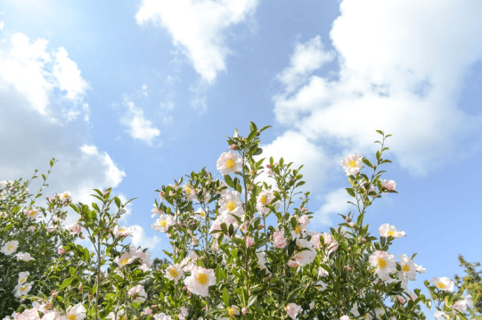 겨울 여행지 추천