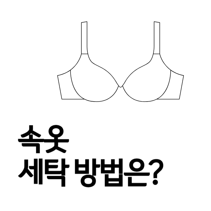 속옷세탁법