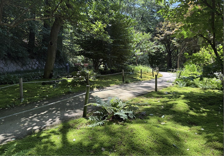 남산 한국숲정원