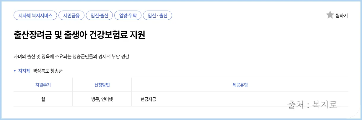출산 장려금