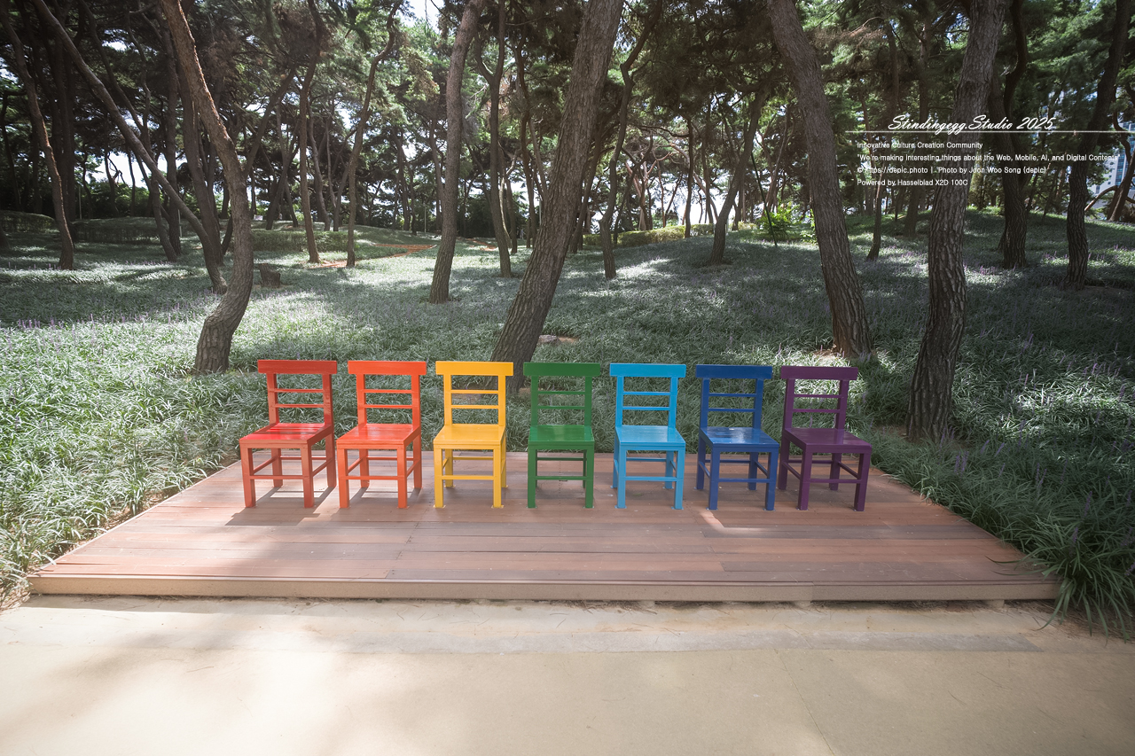 #청주 #솔밭공원 #공원