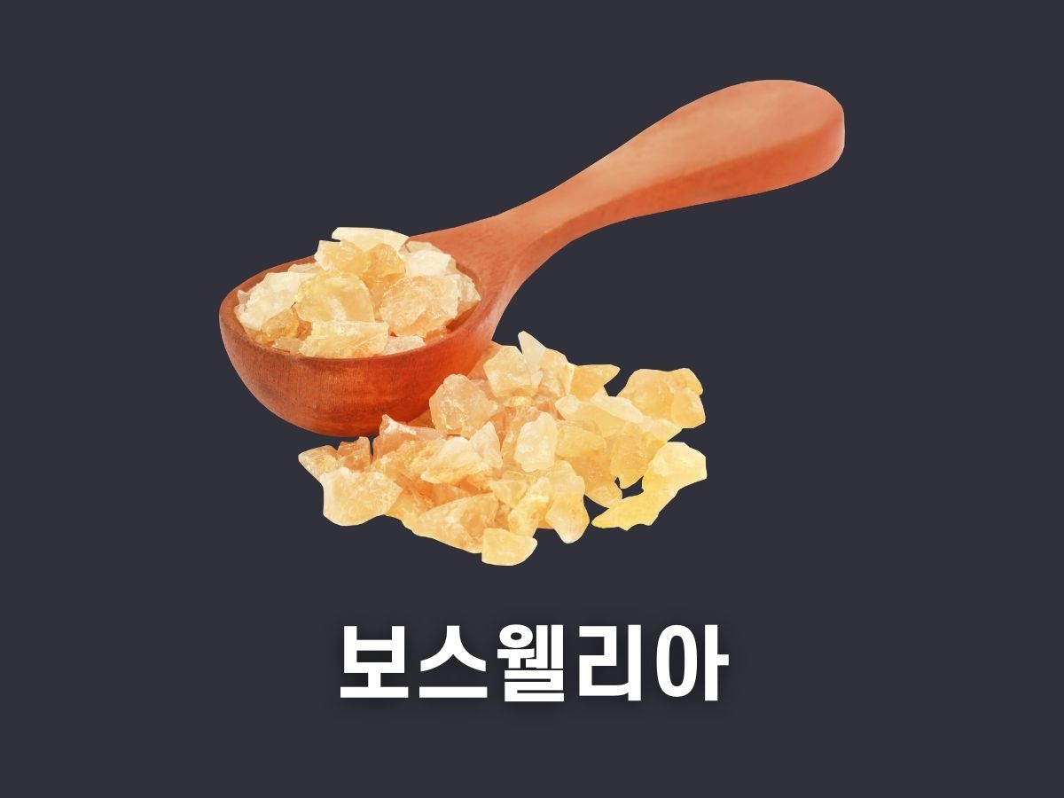 보스웰리아 효능 부작용 가격 추천