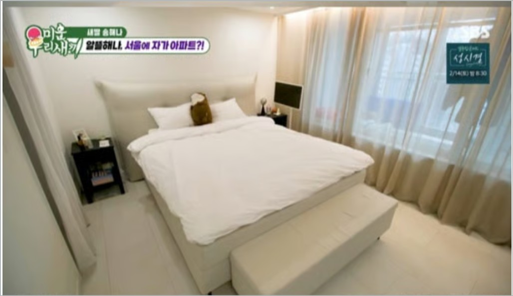 송해나 아파트 자가 마련! 미우새 속 내집마련 비결