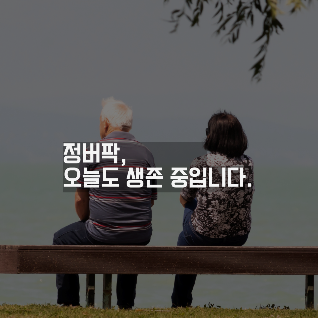 정보를 습관으로 바꾸는 중