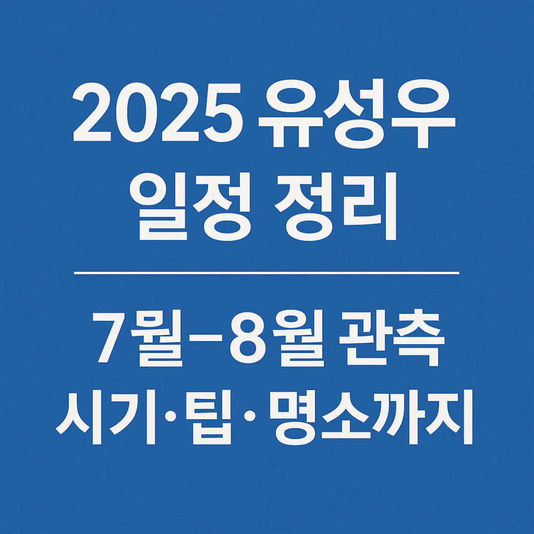 유성우 일정 총정리