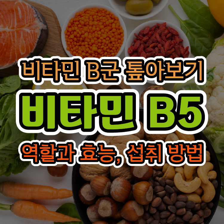 [비타민 B군 톺아보기] 비타민 B5(판토텐산)의 역할과 효능, 섭취 방법