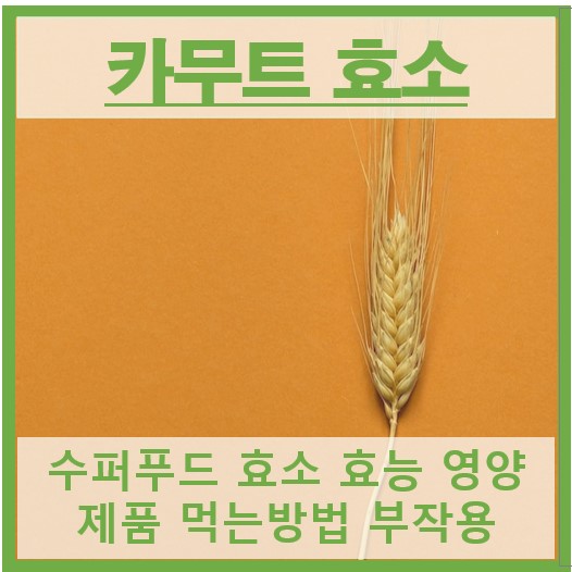 카무트 효소 썸네일