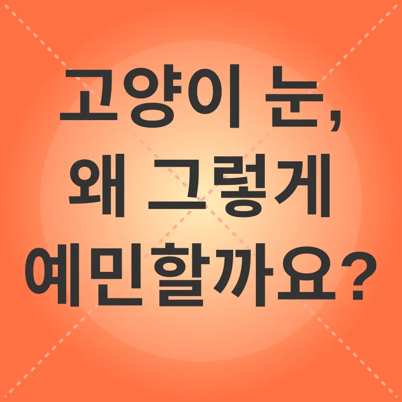 고양이 눈 건강_1