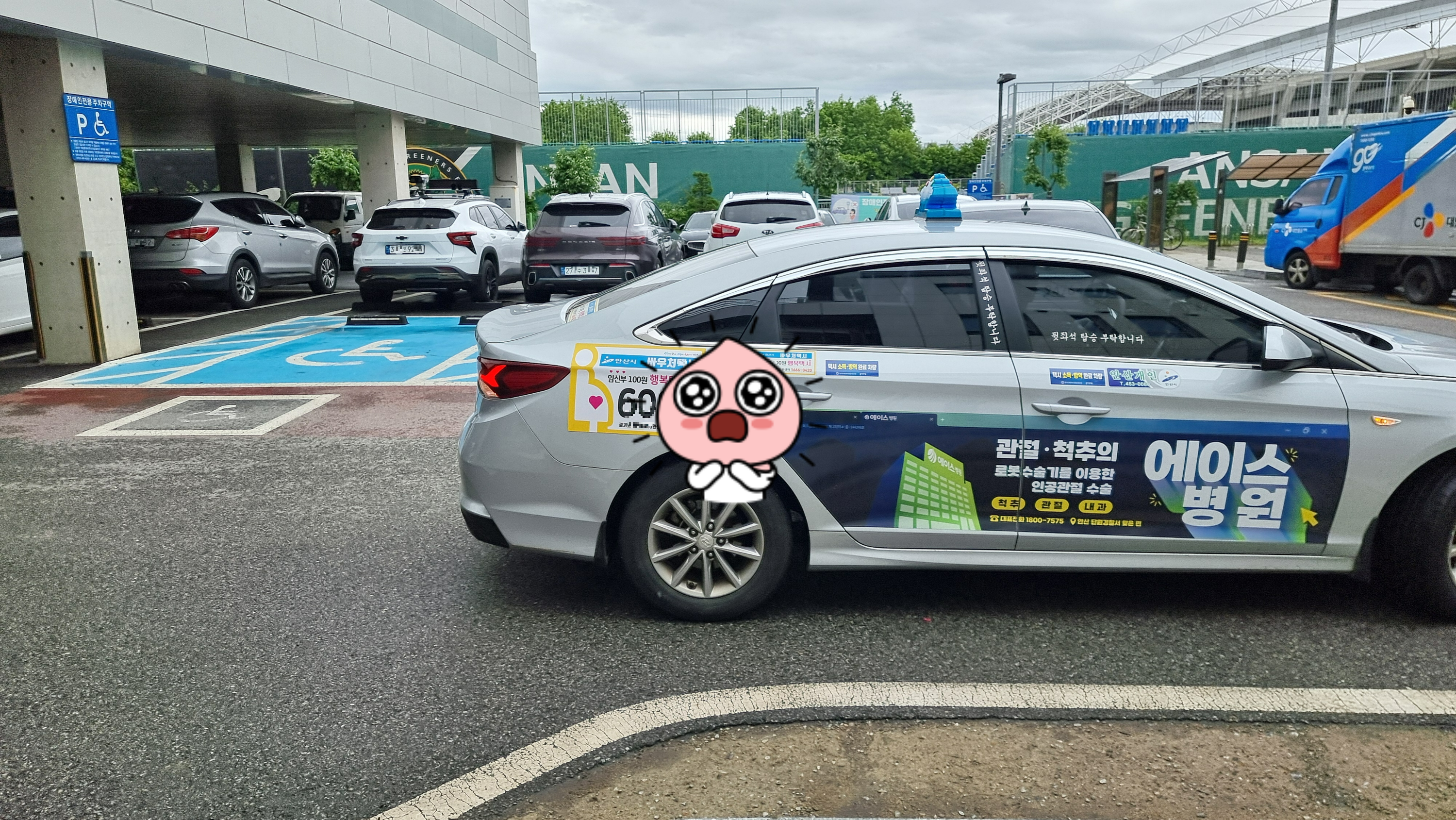 임신부 100원 행복택시