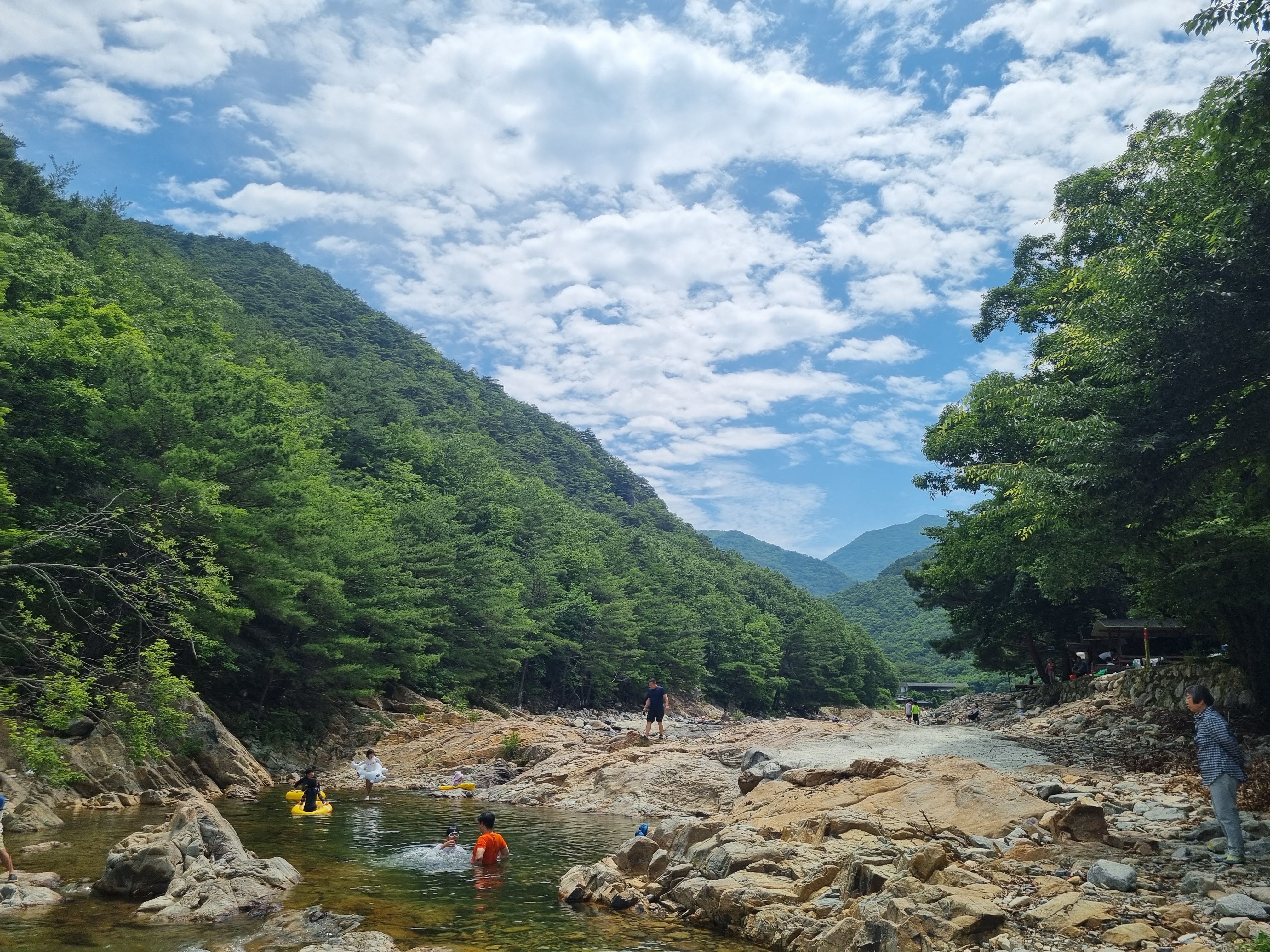 둥지펜션캠핑장