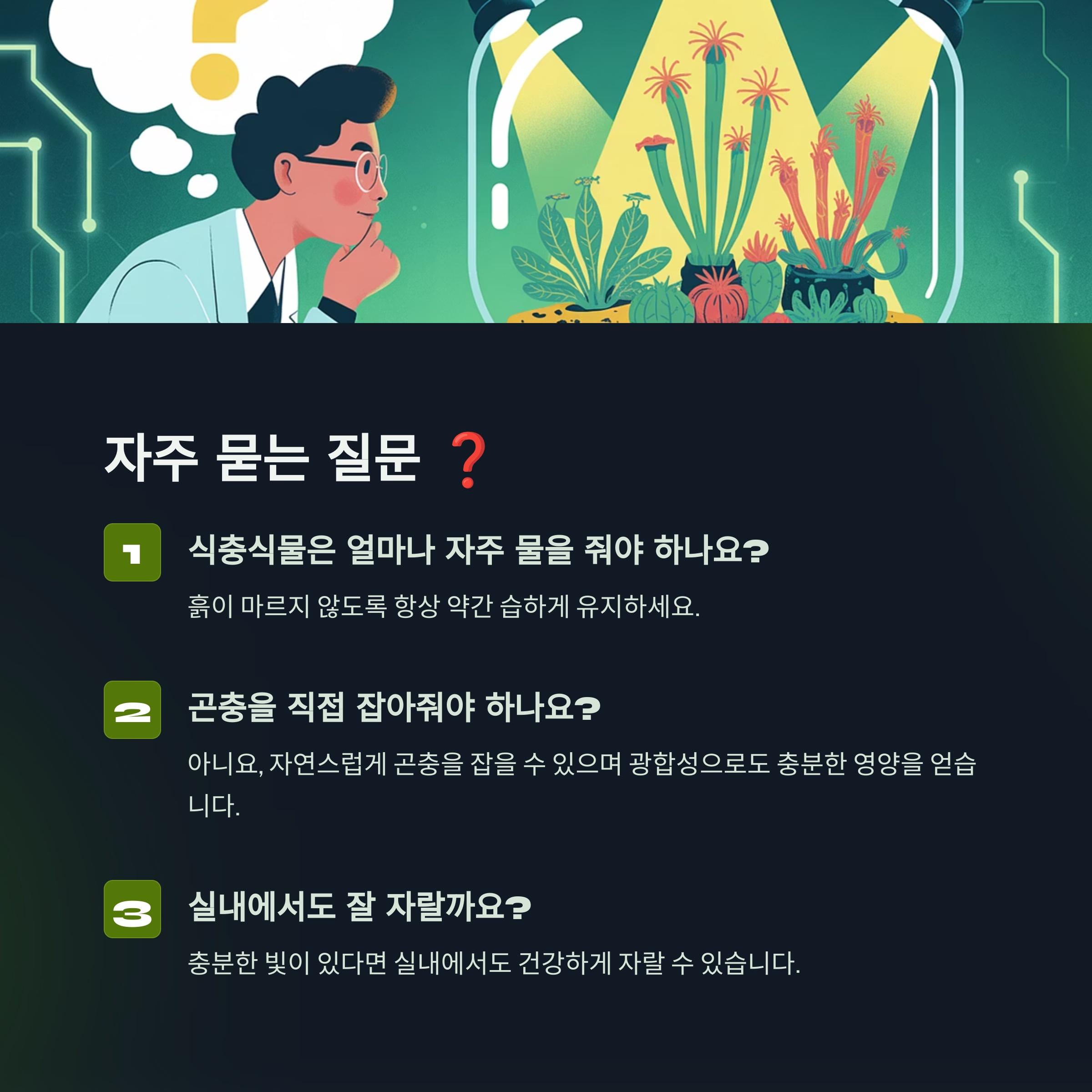 자주 묻는 질문
