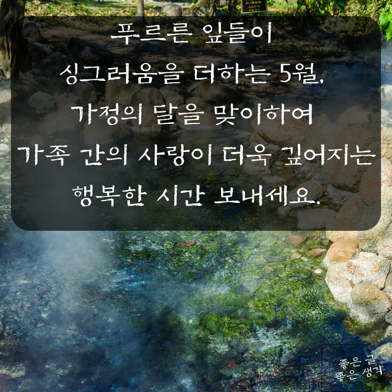 5월 인사말 문구 이미지 모음집 카톡 문자 메세지