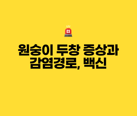 원숭이 두창 증상과 감염경로, 백신