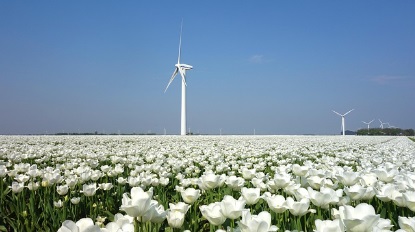 풍차돌리기 적금 : 시드머니 모으기&amp;#44; 재테크 기초