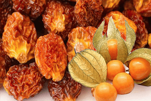 골든베리의 효능04