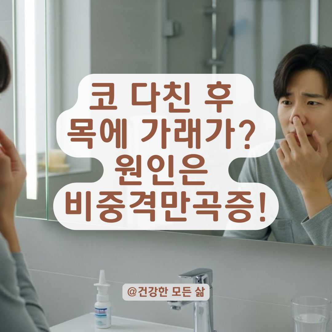 코 다친 후 목에 가래가? 외상 후 비중격만곡증과 후비루 해결법