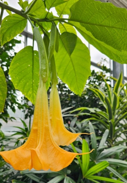 용인/새로운/인기/핫플/용/자작나/숲