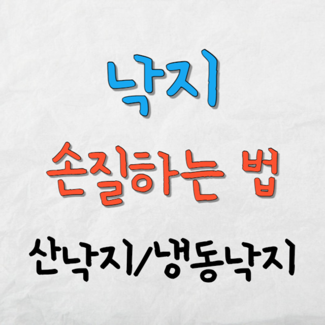 낙지손질하는방법-산낙지와냉동낙지