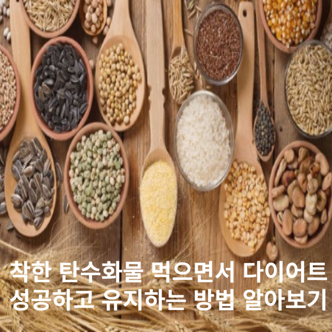 착한 탄수화물 먹으면서 다이어트 성공하고 유지하는 방법 알아보기