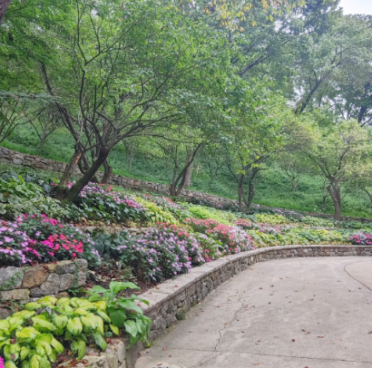 화담숲 예약 3분만에 성공하는 꿀팁