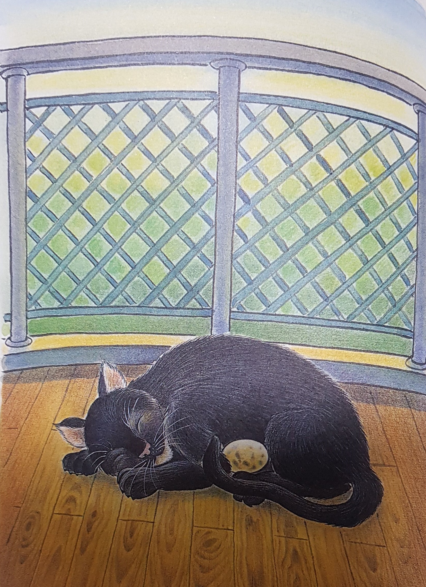 '갈매기에게 나는 법을 가르쳐 준 고양이' 삽화