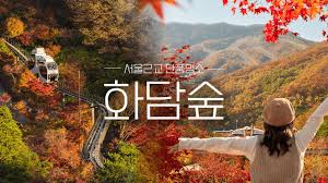 화담숲 온라인 예약&amp;#44; 운영시간&amp;#44; 산책코스