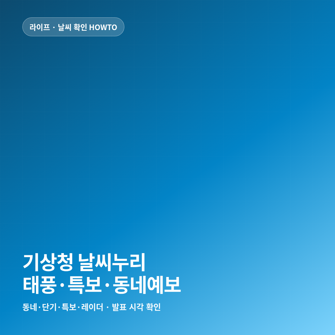 썸네일
