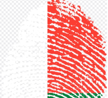 주민등록증 분실신고 사진 규정 사이즈 진위확인서비스