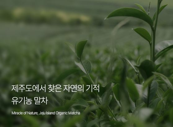 하루미츠 말차 브리즈 TF-니코0 효능