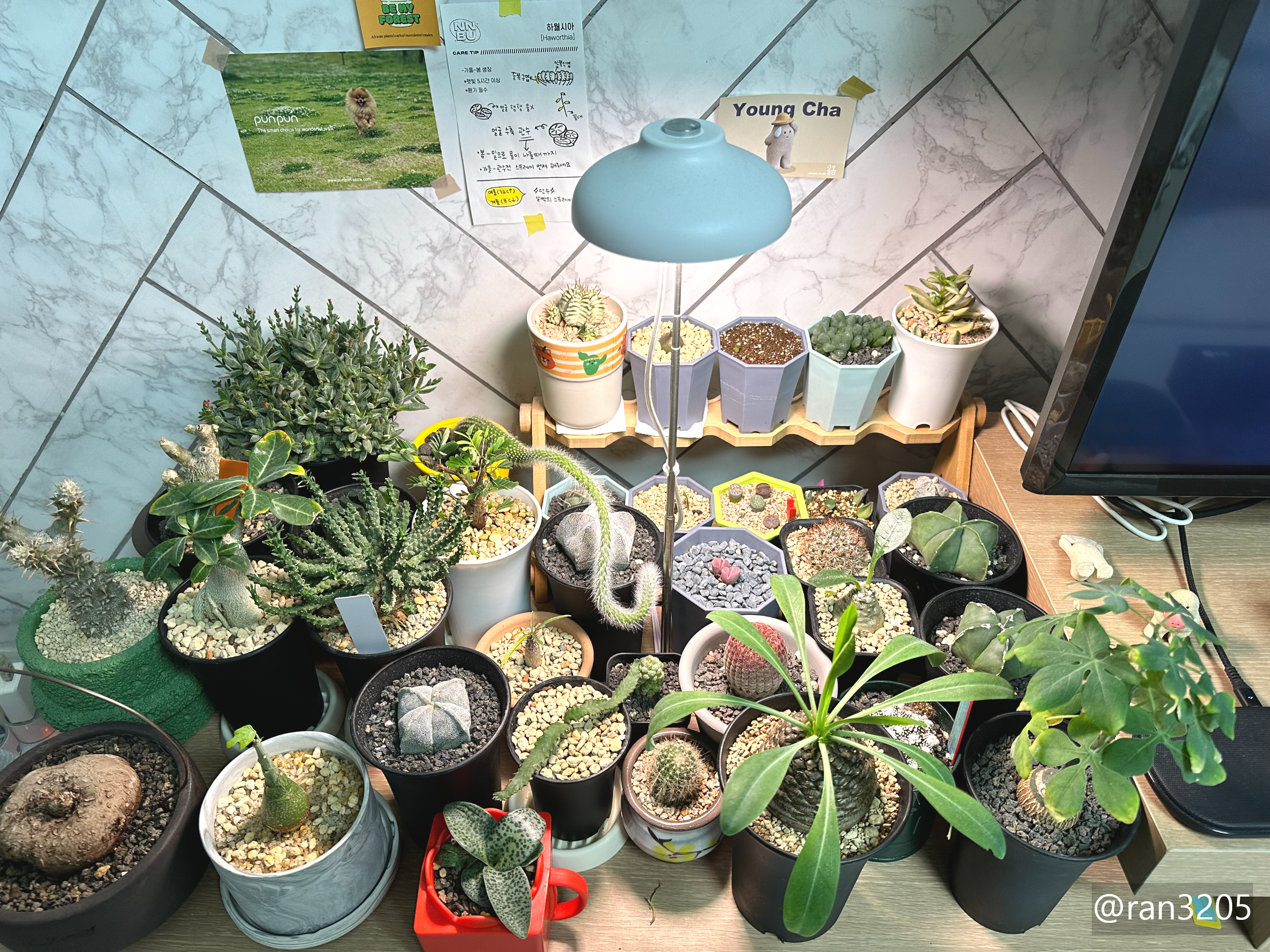 아프리카 식물 존에 있는 빛뿌리개