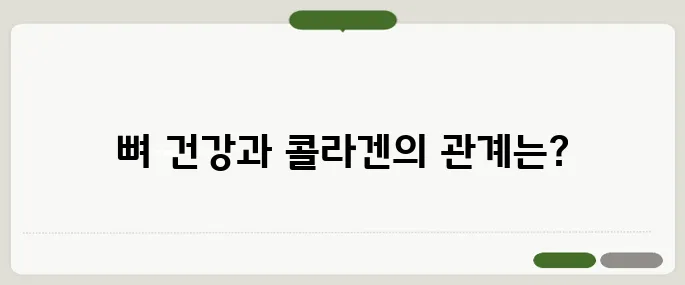 콜라겐의 효능 피부뿐만 아니라 뼈 건강에도 좋을까?