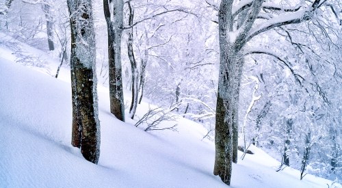 1월 첫째 주일 대표 기도문