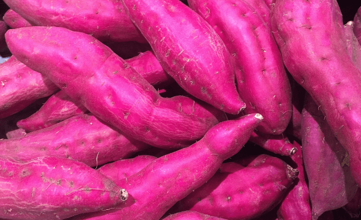 고구마 사진 - 52