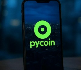 파이코인 상장 전망