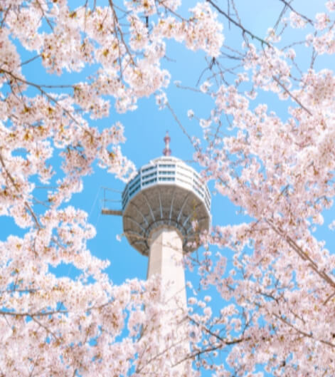 3월 국내 여행지 추천