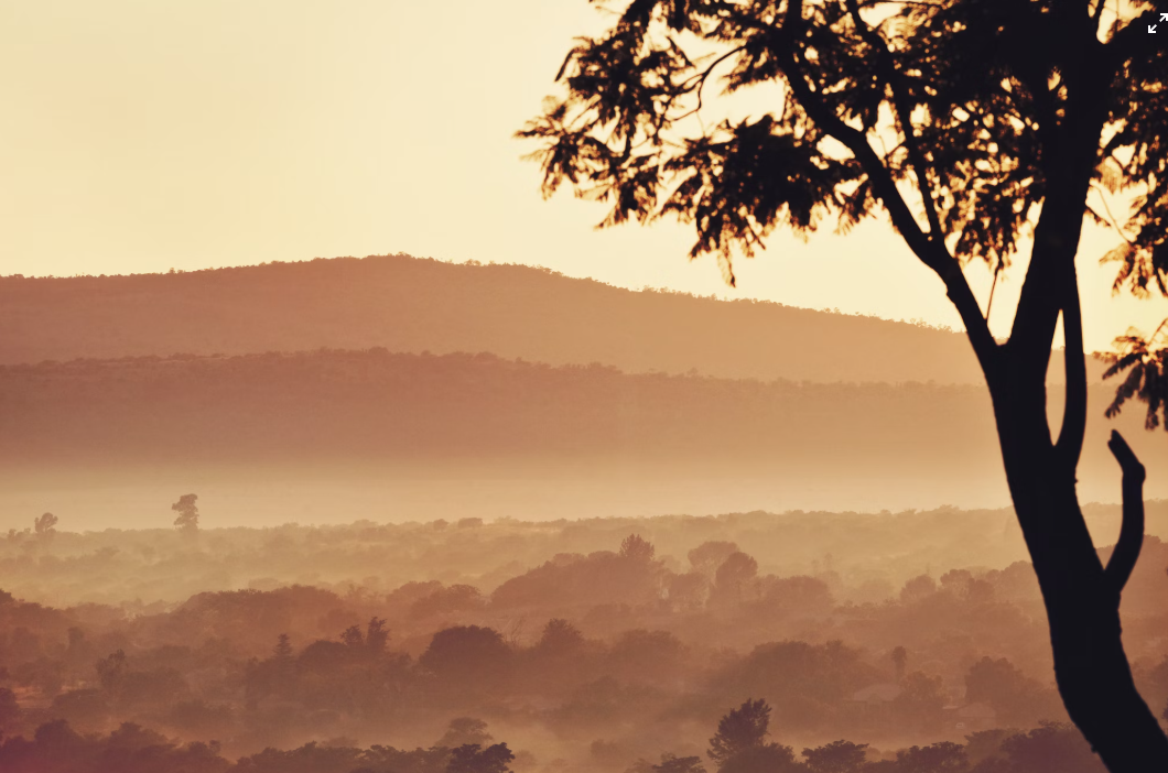 미세먼지 관련 이미지