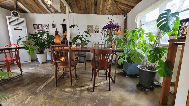 제주-카페패스-구좌-월정리-감성카페-너는파라다이스길리