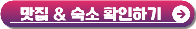 곡성 장미축제