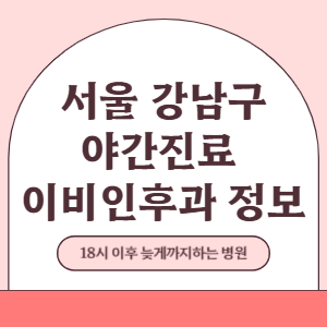 서울 강남구 야간진료 이비인후과 병원 (18시 이후 늦게까지하는 병원)