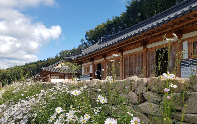 속리산 숲체험휴양마을