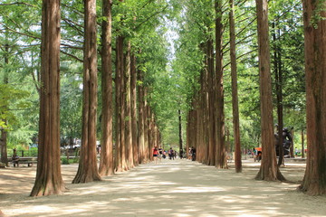 남이섬 어쿠스틱 청춘 페스티벌 총 정리