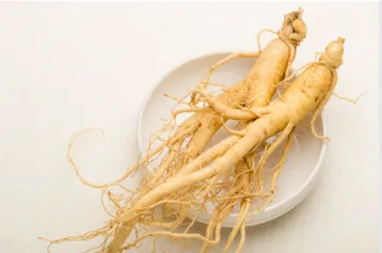 인삼 효능 및 가격, 영양 성분의 효과