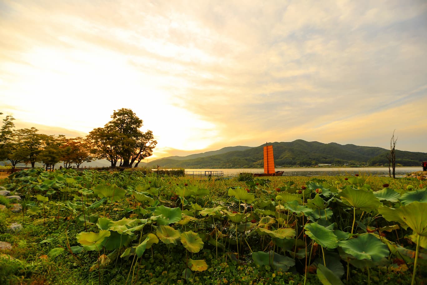 두물머리의 일출