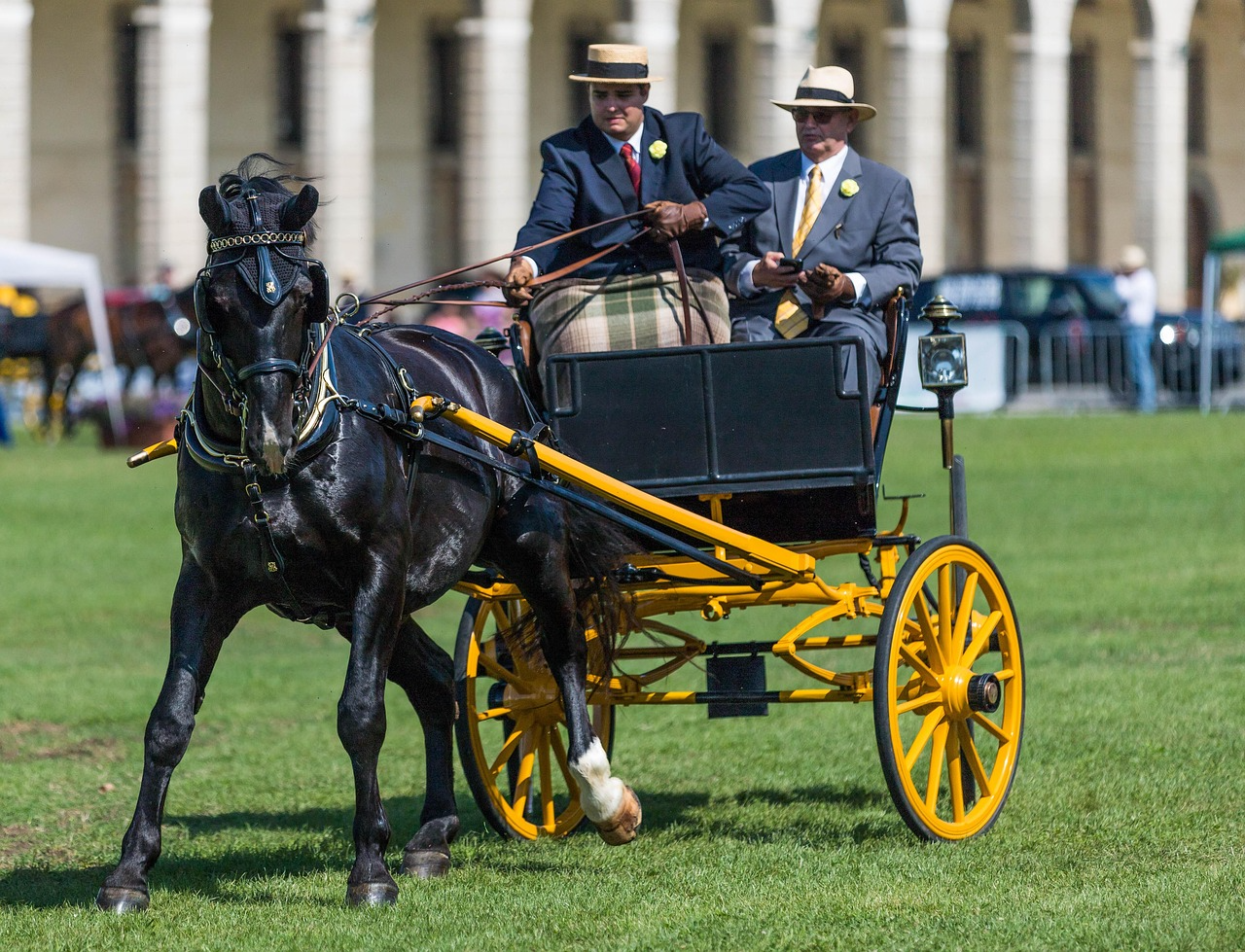 조언을 그대로 따랐지만 더 실패했을 때