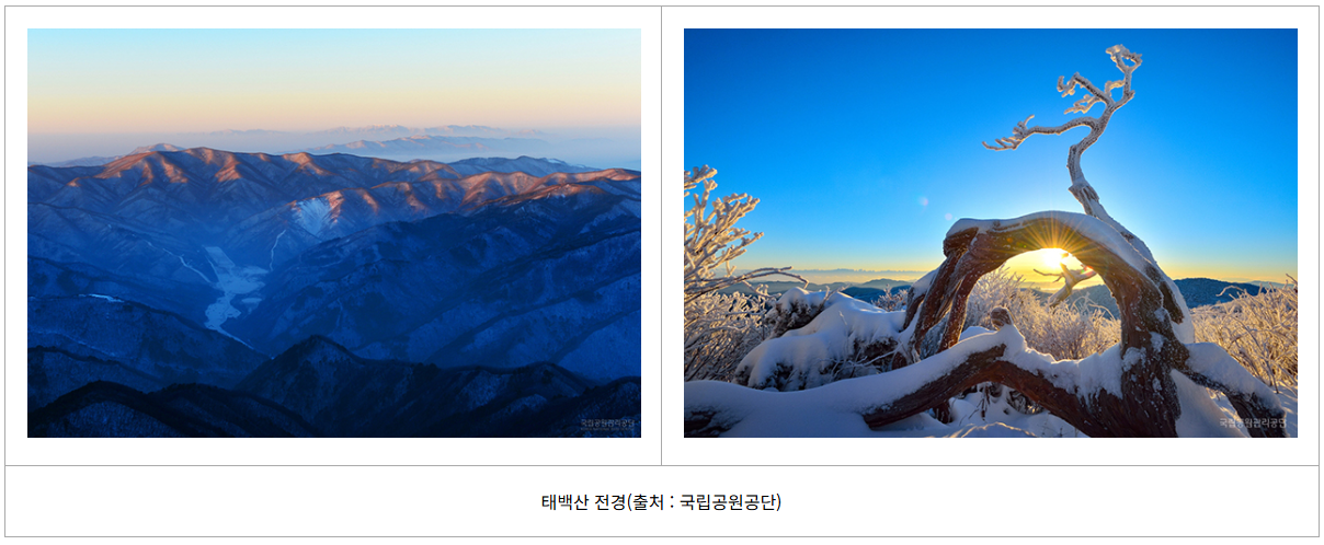 설악산 단풍 시작! 절정시기 지금 확인하세요 (출처 : 기상청)