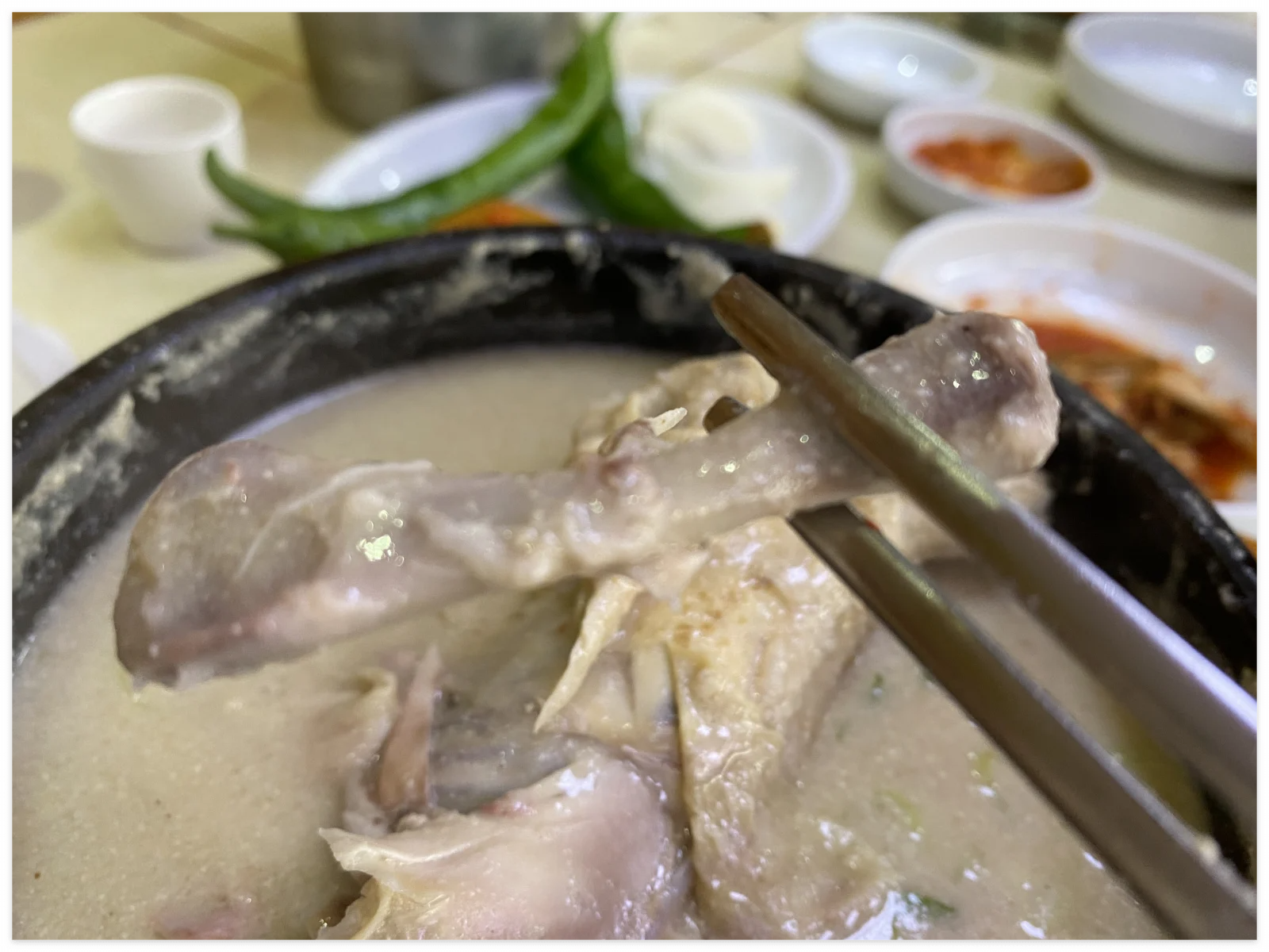 일산-삼계탕-맛집-장수토종삼계탕-닭뼈-이미지