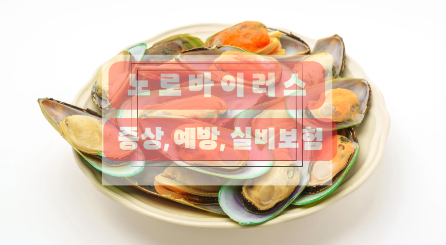 노로바이러스 오염된 조개류