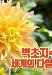 23년 10월 경기도 축제 정보 총정리! (전국 축제 정보 알아보기 경기도 편)