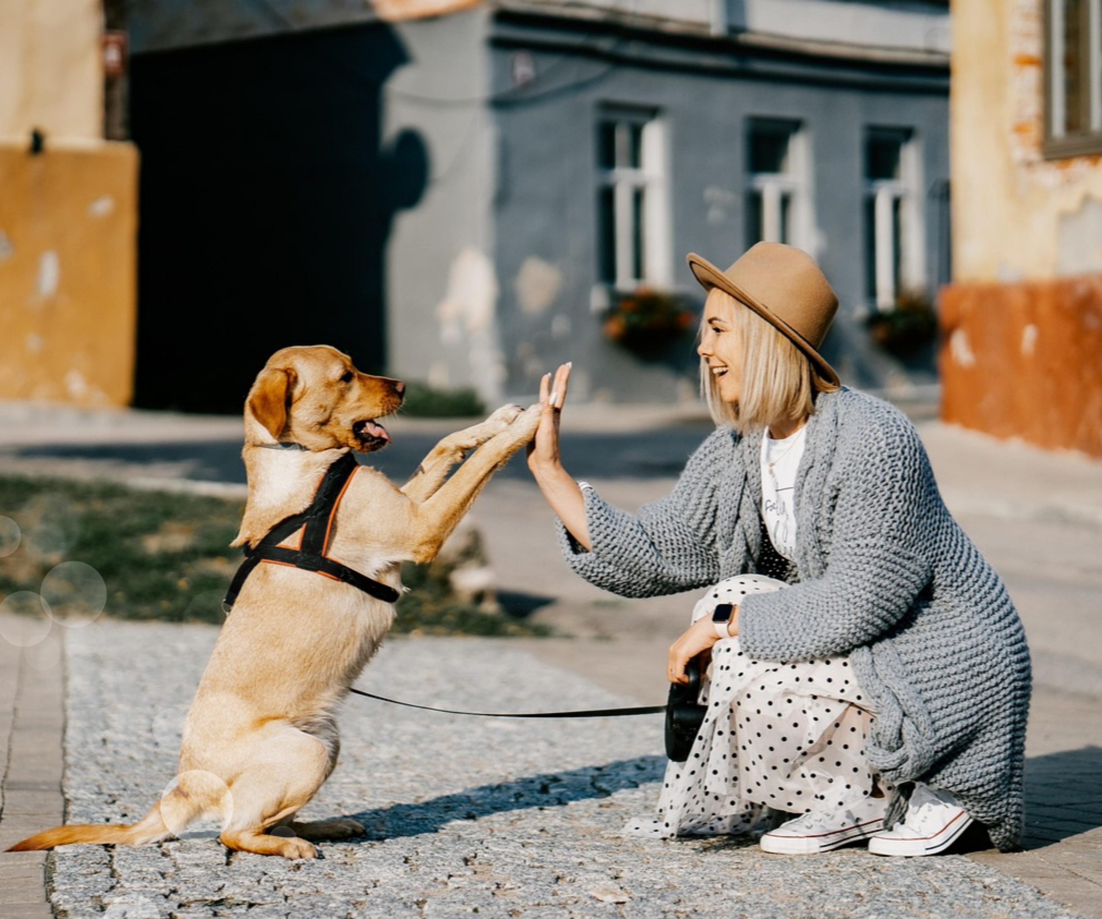 펫 테라피 들어보셨나요? 반려동물이 정신건강에 미치는 영향